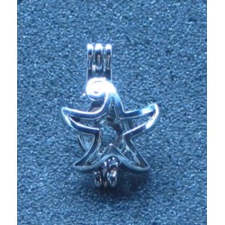 Starfish Pendant Set